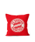 Kissen 40x40cm Logo Stripes rotweiß