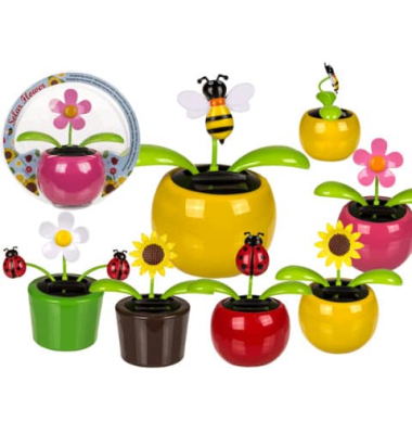 Blumen & Insekten beweglich sortiert