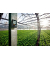 174 H Mini Feuchte- & Temperatur-Datenlogger schwarz