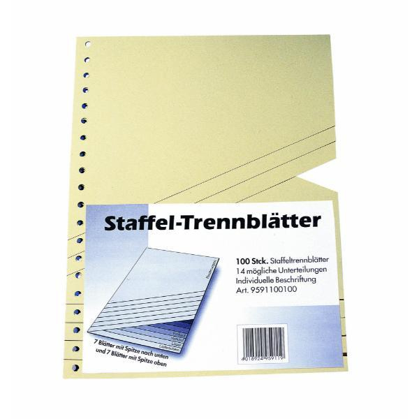 Richter Staffel-Trennblätter 3737858 A4 chamois Karton 4019416222087 Richter 100 Stück