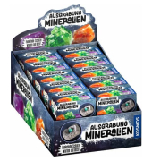 Ausgrabungs-Set Mineralien sortiert