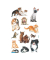 53574 Schmucketikett Katzenbabys