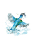 "Design Journey" Aquarell Set Blumen 100% EFC