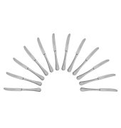 12 PICARD & WIELPÜTZ Messer Rossini Vintage silber