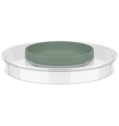 Deckel für Schüssel Chef It transparent, nordic sage