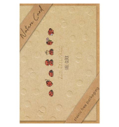 Geburtstagskarten 69-3052 11,5x17 cm 115mm x 170mm (BxH) Marienk&auml;fer bunt