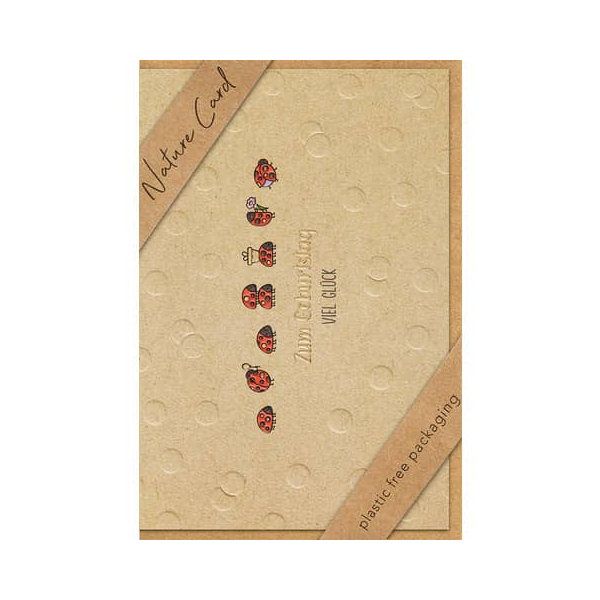 3 Stück BSB Geburtstagskarten 69-3052 11,5x17 cm 115mm x 170mm (BxH) Marienkäfer bunt 4000867751219 BSB