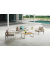 Loungegruppe FLORENCE hellgrau, braun Metall, 4-teilig