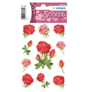 3581 Schmucketikett Rosen
