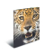 Eckspannmappe 7137, A4 Motiv "Leopard" Karton, mit 3 Einschlagklappen