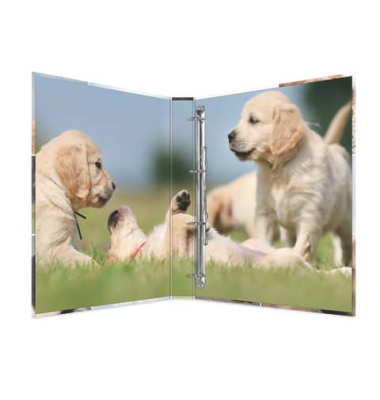Ringbuch Hunde Hunde 19358, A4 4 Ringe 25mm Ring-&Oslash; Karton motiv