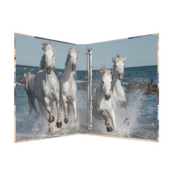 Ringbuch Pferde Pferde 19360, A4 4 Ringe 25mm Ring-Ø Karton motiv