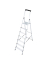 Alu Leiter 1262 Monto Solidy 7 Stufen