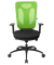 Net Pro 100 Bürostuhl grün NN100 T205