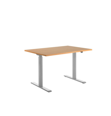 Sitz-Steh-Schreibtisch E-Table, elektrisch höhenverstellbar, 70-120cm (H), 120x80cm (BxT), rechteckig, buche / lichtgrau