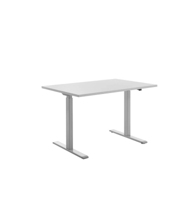 Sitz-Steh-Schreibtisch E-Table, elektrisch höhenverstellbar, 70-120cm (H), 120x80cm (BxT), rechteckig, lichtgrau / lichtgrau