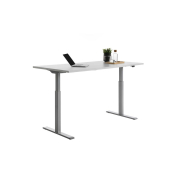 Sitz-Steh-Schreibtisch E-Table, elektrisch höhenverstellbar, 70-120cm (H), 160x80cm (BxT), rechteckig, lichtgrau / lichtgrau