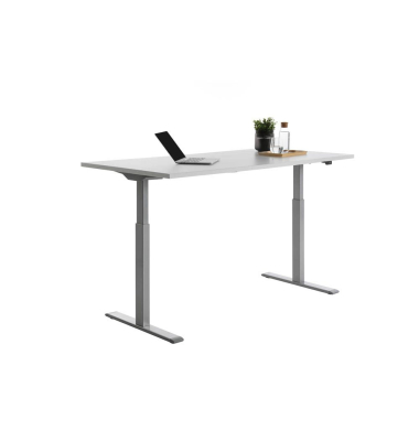 Sitz-Steh-Schreibtisch E-Table, elektrisch höhenverstellbar, 70-120cm (H), 160x80cm (BxT), rechteckig, lichtgrau / lichtgrau