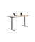 Sitz-Steh-Schreibtisch E-Table, elektrisch höhenverstellbar, 70-120cm (H), 160x80cm (BxT), rechteckig, ahorn / lichtgrau