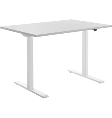 Sitz-Steh-Schreibtisch E-Table, elektrisch höhenverstellbar, 70-120cm (H), 120x80cm (BxT), rechteckig, lichtgrau / weiß