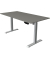 Sitz-Steh-Schreibtisch Move 1, elektrisch höhenverstellbar, 74-123cm (H), 160x80cm (BxT), rechteckig, graphit / silber