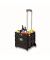 Einkaufstrolley 10013399_0, max. BeLiterastbarkeit bis ca. 35kg, außen 420x390x370mm, Kunststoff, Aluminium schwarz