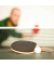 Tischtennisnetz grün