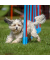 Hundewippe Dog Agility braun 180,0 x 30,0 x 54,0 cm