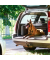 Hundegitter Auto schwarz