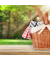 Picknickdecke isoliert grau
