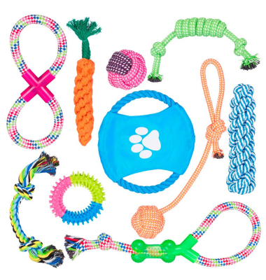 Hundespielzeug-Set mehrfarbig