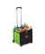 Einkaufstrolley 10027691_53, max. BeLiterastbarkeit bis ca. 35kg, außen 460x390x370mm, Kunststoff, Aluminium, Gummi schwarz/grün