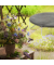 Abdeckplane für Trampoline schwarz 427,0 cm
