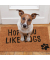 Fußmatte 10023816_242 hope you like dogs , 40x60cm, rechteckig, für Innenbereich