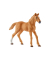Horse Club 42458 Hannahs Gastpferde mit Hündin Ruby Set