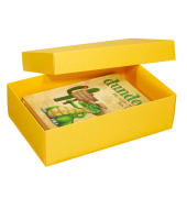 L Geschenkboxen 3,6 l gelb 26,6 x 17,2 x 7,8 cm