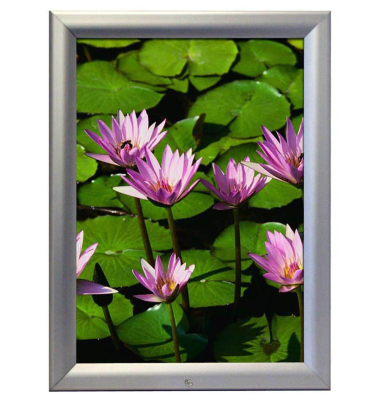 Plakat-Klapprahmen UCV355N0A1X2950, silber, A1, Aluminium