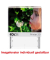 Textstempel Printer 20 146147