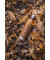 Isolierflasche Wood braun