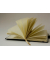 Notizbuch Q22 25-464, Tucson, schwarz, A6, kariert, 80g, 96 Blatt / 192 Seiten