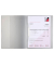 Schnellhefter FACT! 102015092, A4, silber transluzent, Polypropylen (PP), Vorderdeckel transluzent