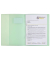 Schnellhefter FACT! 102015051, A4, mint transluzent, Polypropylen (PP), Vorderdeckel transluzent