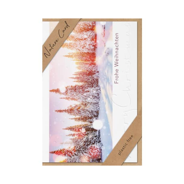 3 x BSB Weihnachtskarte - Nature Card inkl. Umschlag.