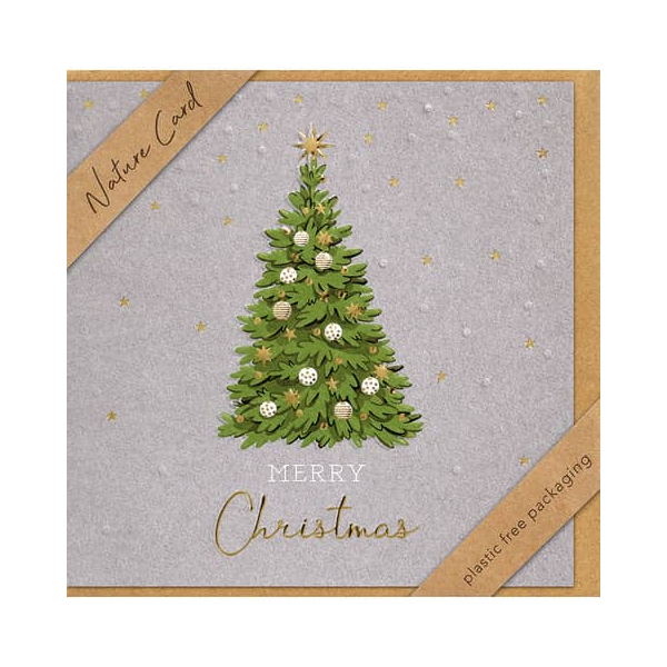 3 x BSB Weihnachtskarte - Nature Card inkl. Umschlag.