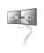 Neomounts Select TIS 10-32 2TFT 1 Gelenk weiß Max.16KG