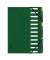 Ordnungsmappe Harmonika 55123E, 1-12, gr&uuml;n, A4, 12 F&auml;cher