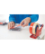 Klebeband 4204 19mm x 66m transparent