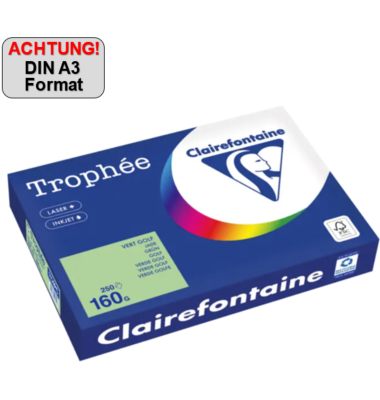 Kopierpapier Trophée Color 1114PC A3 160g grün 