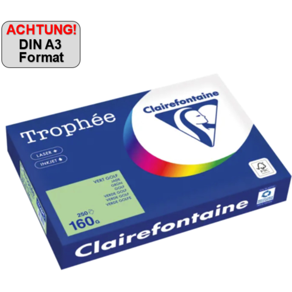 3329680006117 - Kopierpapier Trophée Color 1114PC grün A3 160g 250 Blatt 3329680006117 250 Blatt