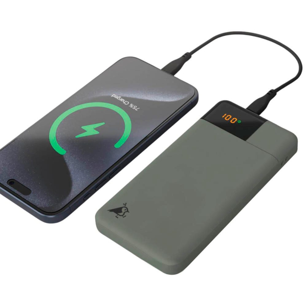 8716778932031 - Powerbank POWERBIRD B10 AQPBPBIB5MGR031 grün 10000 mAh 8716778932031 Aqiila